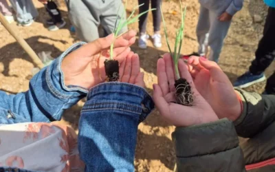 Formación del Profesorado “El Huerto Ecológico para Educar”
