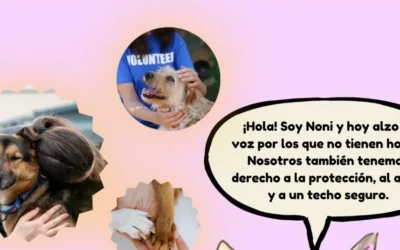 Proyecto social: «Patitas Arrugadas». Proyecto Espabilé